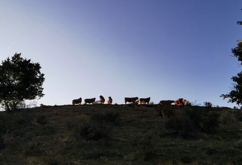 ベッドアンドブレックファースト Residence La Borde