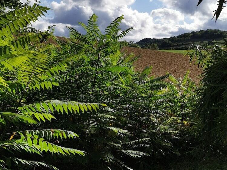 ベッドアンドブレックファースト Residence La Borde