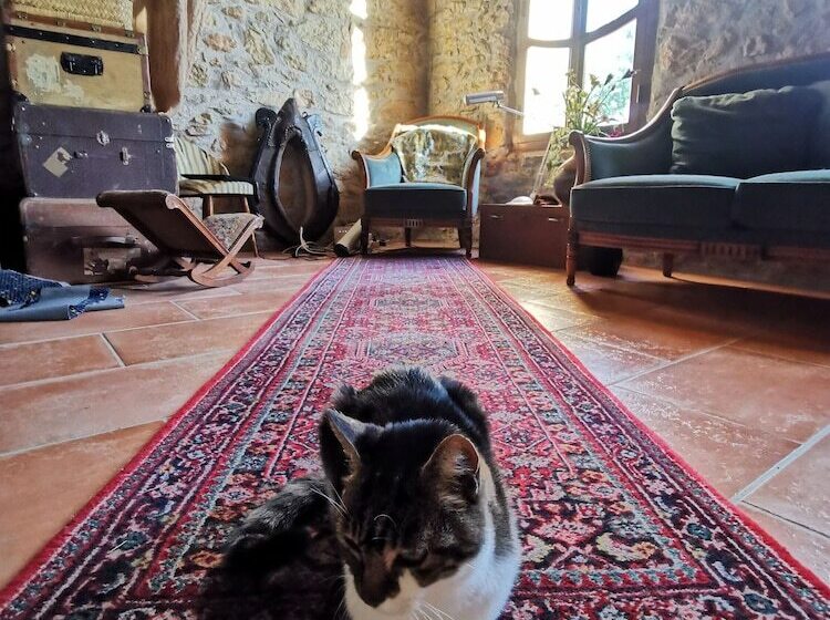 ベッドアンドブレックファースト Residence La Borde