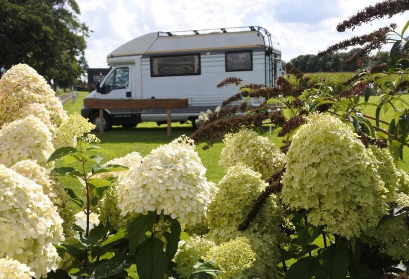 Bed and Breakfast Sfeervol Appartement Het Knooppunt