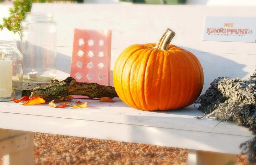 Bed and Breakfast Sfeervol Appartement Het Knooppunt