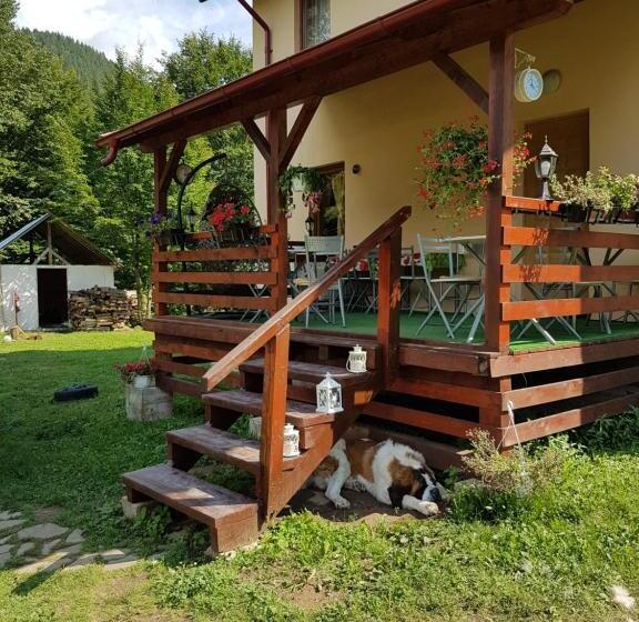 Bed and Breakfast Vila Carmen