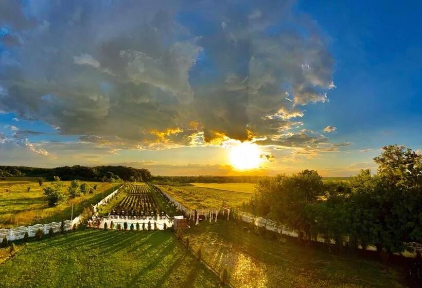 مبيت وإفطار Youness Wellness Clinic & Retreats