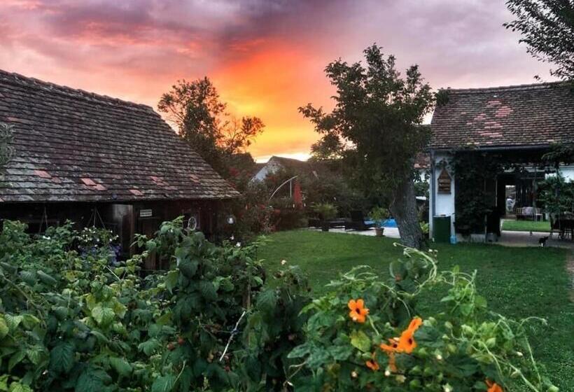 Bed & Breakfast Chez Lips