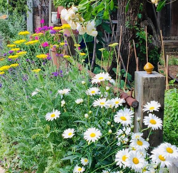 Bed & Breakfast Chez Lips