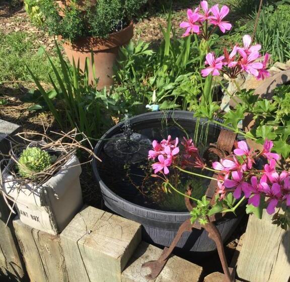 Bed & Breakfast Chez Lips