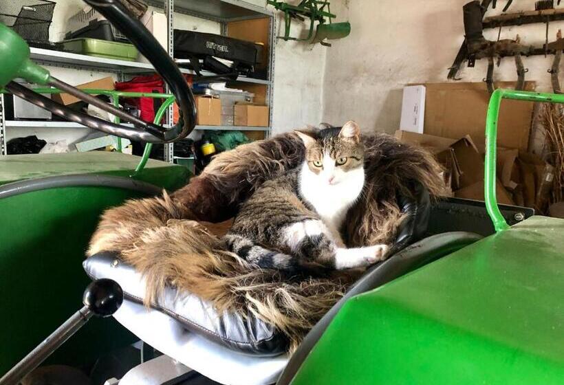 Bed & Breakfast Chez Lips