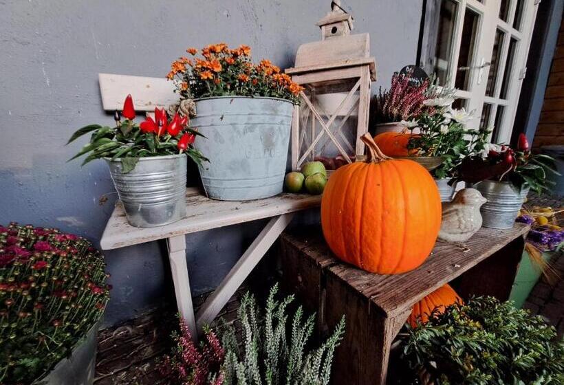 Bed & Breakfast De Stippelberg