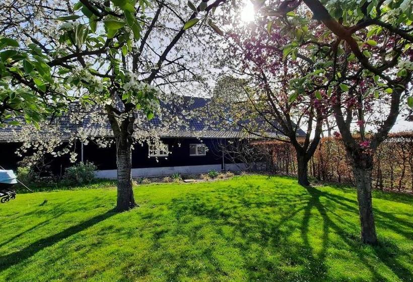 Bed & Breakfast De Stippelberg