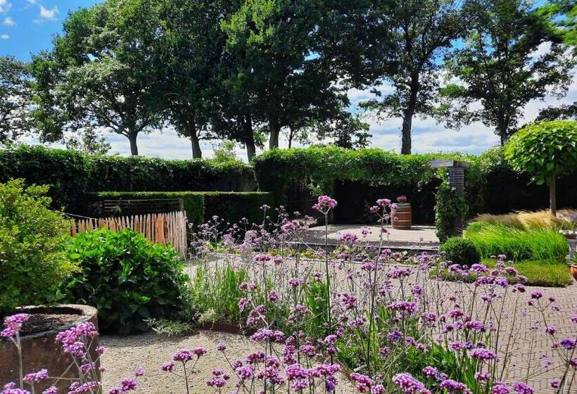 Bed & Breakfast De Stippelberg