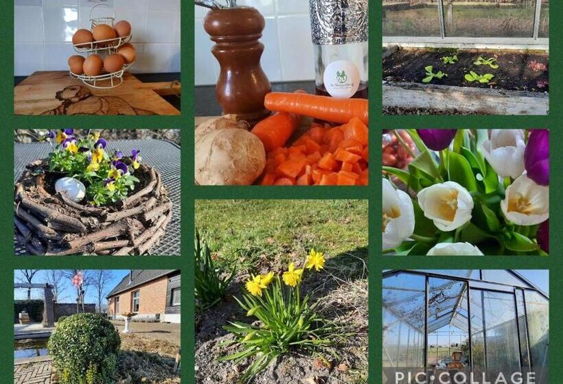 Bed & Breakfast De Stippelberg