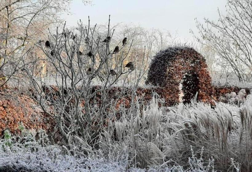 Bed & Breakfast De Stippelberg