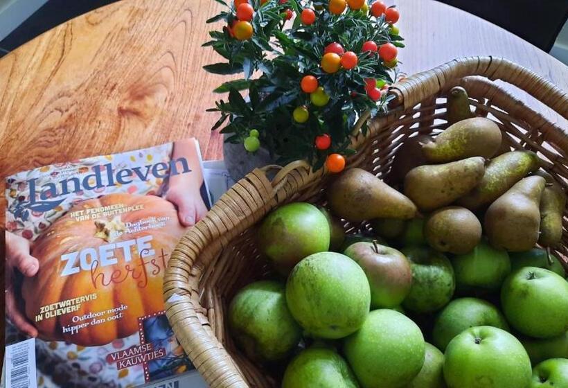 Bed & Breakfast De Stippelberg