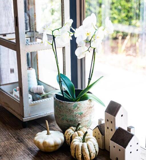 Cire Bed And Breakfast