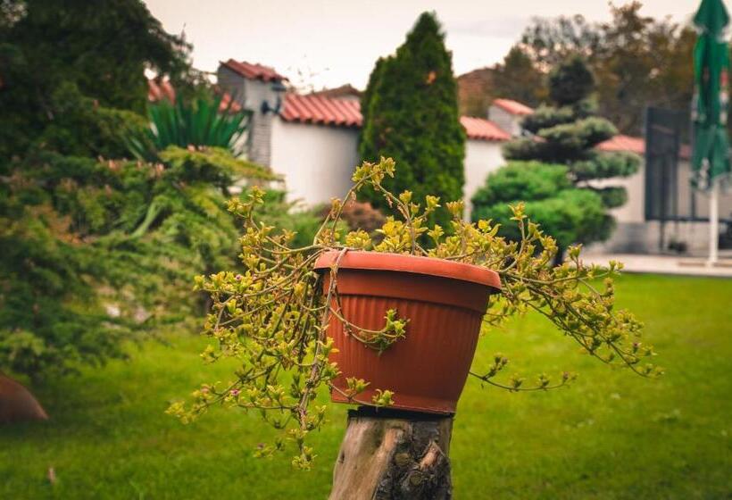 בית מלון כפרי хотелски комплекс копитото