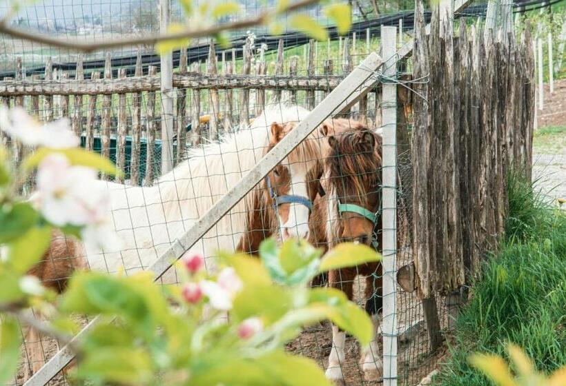 فندق Maso Caliari