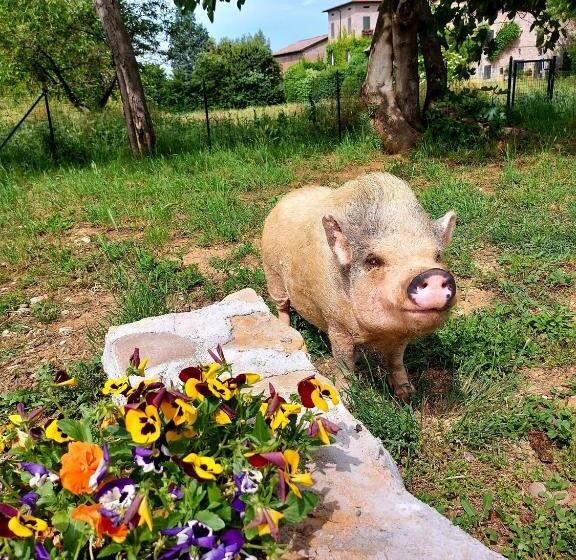 فندق Agriturismo Azienda Agricola Ferrari M.rita