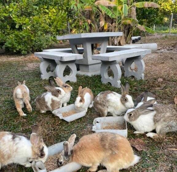 هتل บ้านภัทร์จรัส น่าน   Baan Patjarad Nan