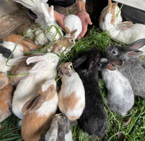 Otel บ้านภัทร์จรัส น่าน   Baan Patjarad Nan