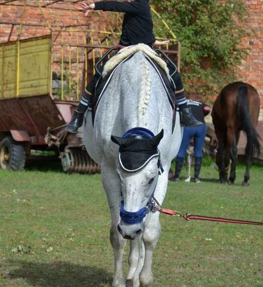 호텔 Buchtův Statek