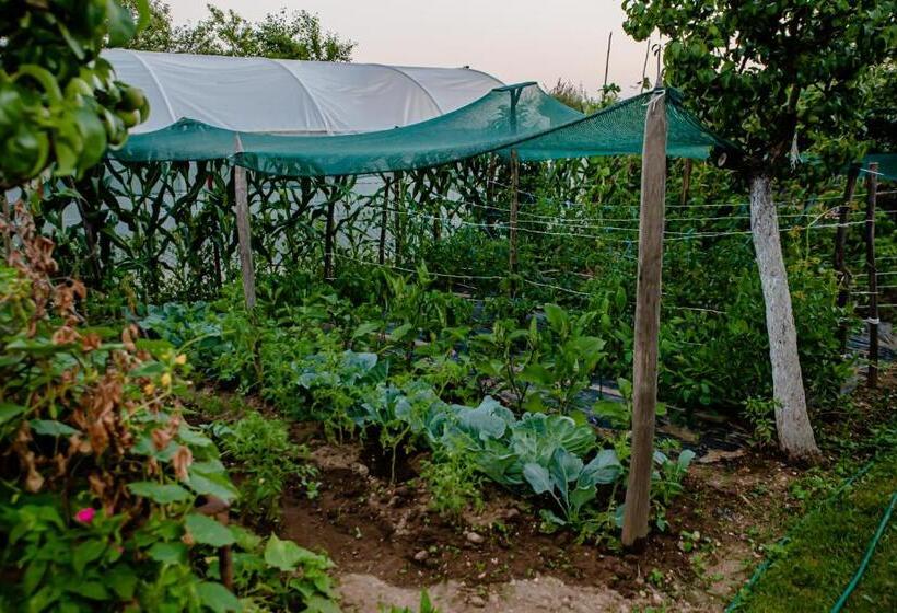 Отель Casa De Sub Deal