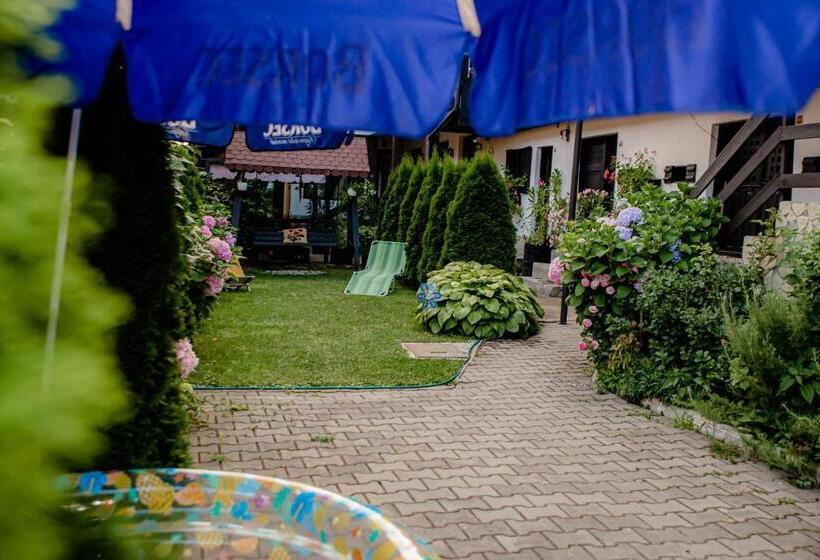 Отель Casa De Sub Deal