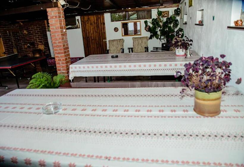 Отель Casa De Sub Deal