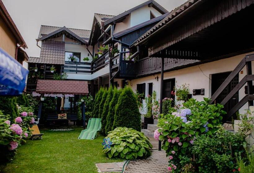 Отель Casa De Sub Deal