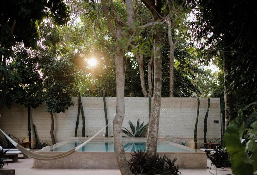 فندق Casona Los Cedros