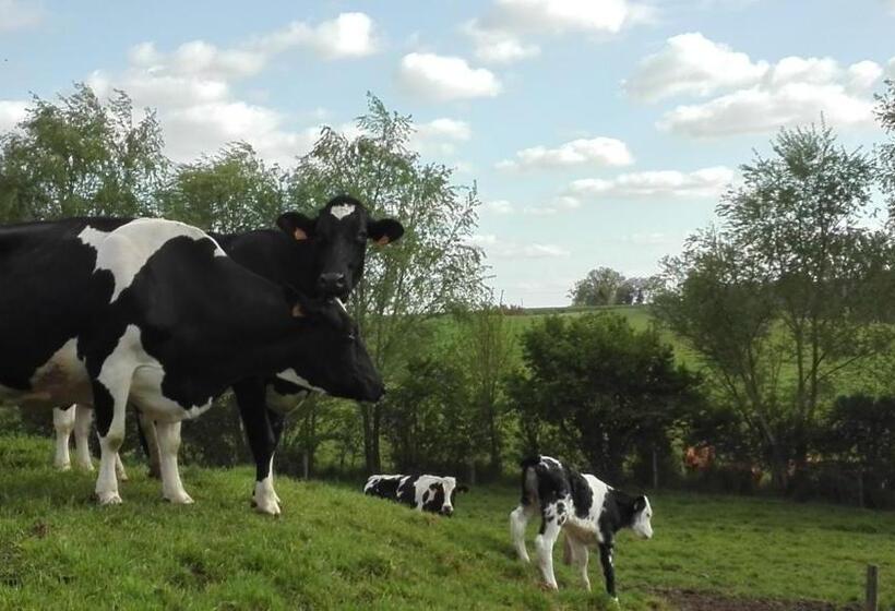 호텔 Charmante Maison à La Ferme
