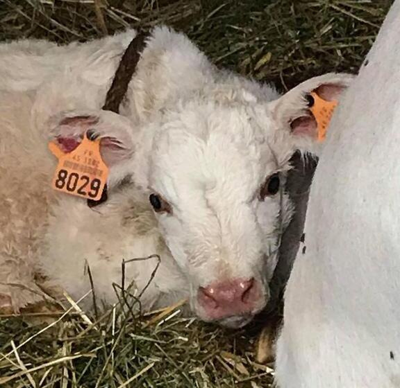 ホテル Ferme Pedagogique Des Pennetieres