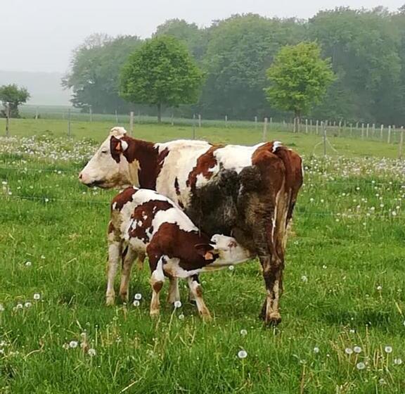 فندق Ferme Pedagogique Des Pennetieres