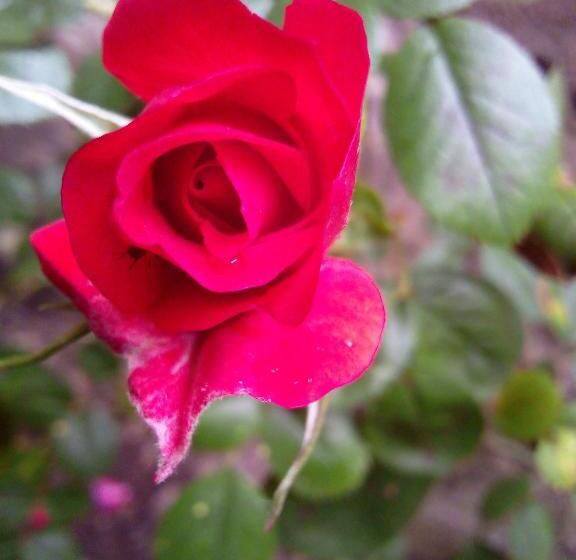 فندق Ferme Pedagogique Des Pennetieres