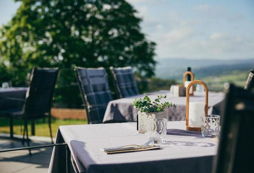 Отель Fetz Das Loreley