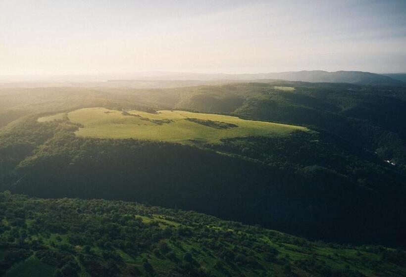 Отель Fetz Das Loreley