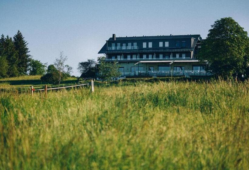 Отель Fetz Das Loreley