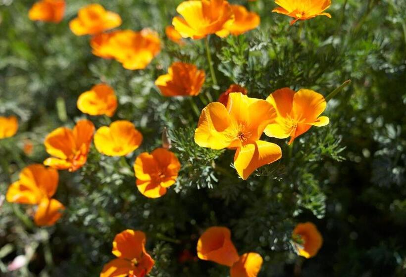 호텔 Jakkalswater Guest Farm