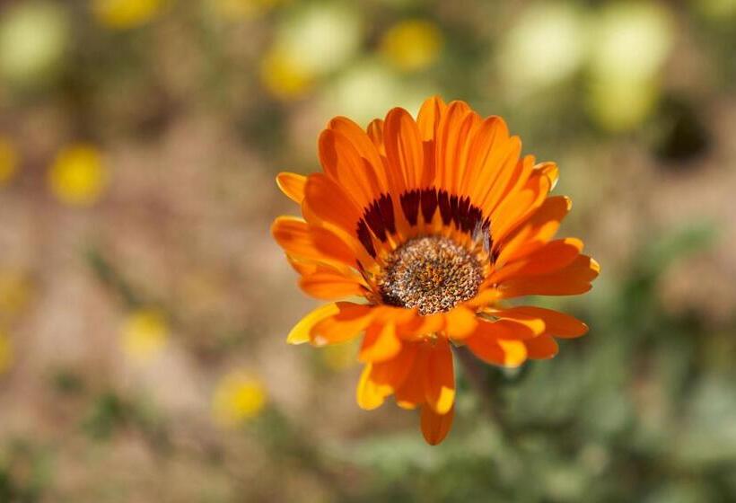 호텔 Jakkalswater Guest Farm