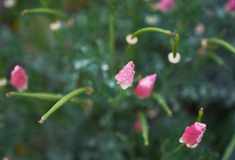 호텔 Jakkalswater Guest Farm