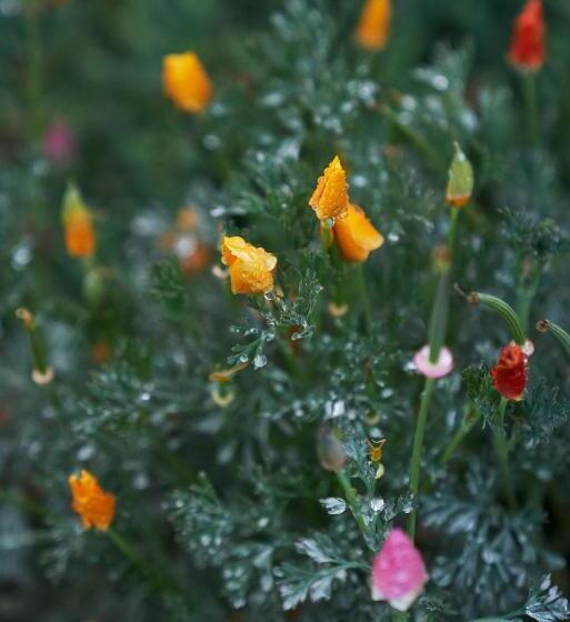 호텔 Jakkalswater Guest Farm