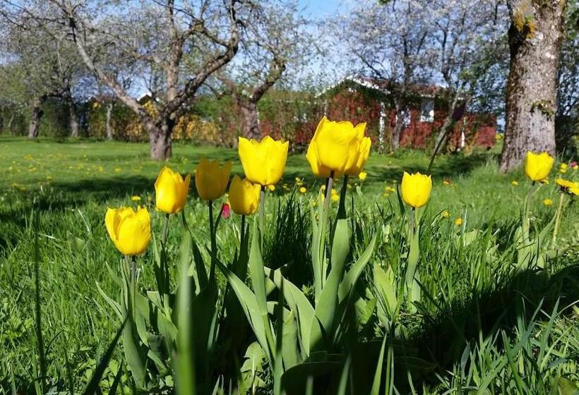 酒店 Mellomgården