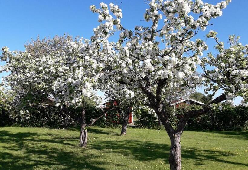 酒店 Mellomgården