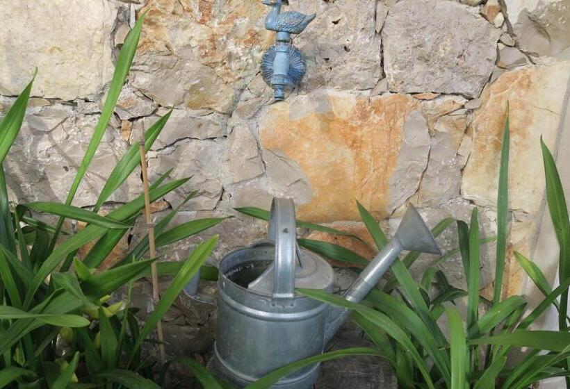 בית מלון כפרי Noz Por Cá... Turismo Em Espaco Rural