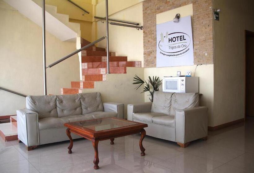 בית מלון כפרי Oyo Trigos De Oro