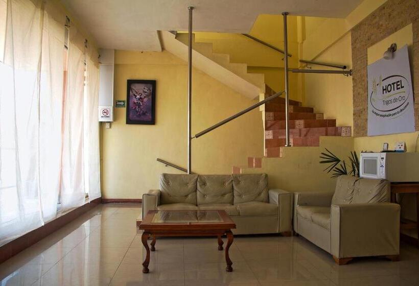 فندق Oyo  Trigos De Oro