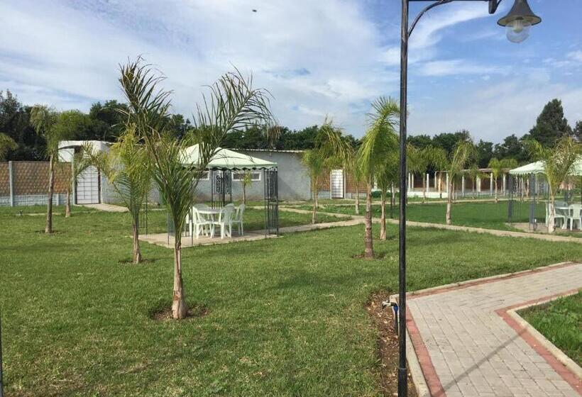 هتل Palm Grove Farm