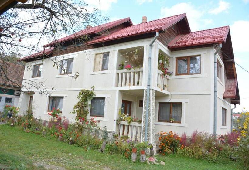 ホテル Pensiunea Margareta