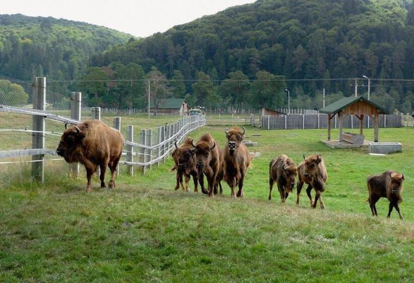 ホテル Pensiunea Margareta