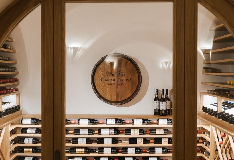 Отель & Restaurant Chateau Trnová