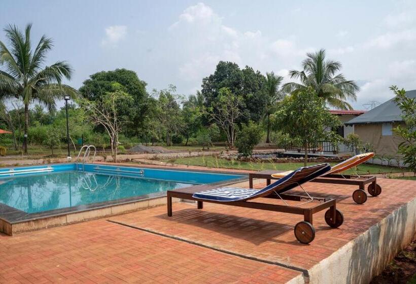 فندق Roy S Nature Nest   Farm Stay Near Malshej Ghats